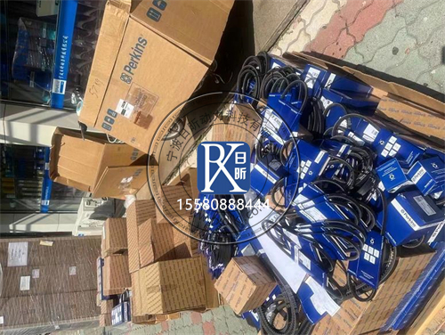 探秘浙江市場的英國多盟（DORMAN）發(fā)動機原廠進口零配件